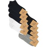 CF Colour Feet 10'lu Paket Pike Örgü Patik Çorap (Siyah, Beyaz, Gri, Lacivert) - 36 - 39 - Renkli