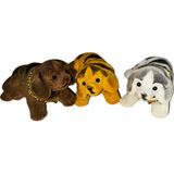 Cg Kafa Sallayan Köpek Araba Süsü Koyu Renk 14 Cm 3 Ad.büyük Boy