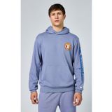 Champion 219785-BS160 Eco Future Hooded Kapüşonlu Mor Erkek Sweatshirt