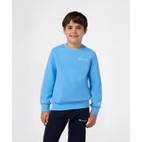Champion Amazon Crewneck Sweatshirt 08-16 yaş çocuk erkek Mavi Sweatshirt - 307315-BS204