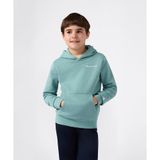 Champion Amazon Hoodie Sweatshirt 08-16 yaş çocuk erkek Mavi Sweatshirt - 307311-BS199