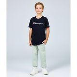 Champion Eco Future Elastic Cuff Pants. 08-16 yaş çocuk erkek Yeşil Eşofman Altı - E30001-GS072