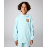 Champion Eco Future Hooded Sweatshirt 08-16 yaş çocuk erkek Mavi Sweatshirt - 306705-BS017