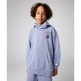 Champion Eco Future Hooded Sweatshirt 08-16 yaş çocuk erkek Mor Sweatshirt - 306705-BS160