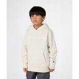 Champion Icons Hooded Sweatshirt 08-16 yaş çocuk erkek Beyaz Sweatshirt - 307336-WW056