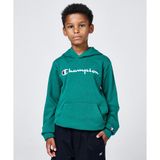 Champion Icons Hooded Sweatshirt 08-16 yaş çocuk erkek Yeşil Sweatshirt - 306747-GS571