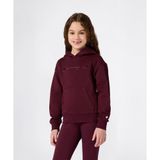 Champion Icons Hooded Sweatshirt 08-16 yaş çocuk kız Bordo Sweatshirt - 405244-RS522