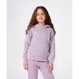 Champion Icons Hooded Sweatshirt 08-16 yaş çocuk kız Mor Sweatshirt - 405244-VS100
