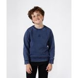 Champion Icons Wash Crewneck Sweatshirt 08-16 yaş çocuk erkek Lacivert Sweatshirt - 307278-BS567