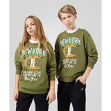 Champion Play With Graphics Crewneck Sweatshirt 08-16 yaş çocuk erkek Yeşil Sweatshirt - 306909-GS573