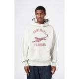 Champion Time Capsule Hooded Sweatshirt Erkek Gri Sweatshirt - 221587-EM028
