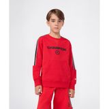 Champion Urban Sport Crewneck Sweatshirt 08-16 yaş çocuk erkek Kırmızı Sweatshirt - 307242-RS069