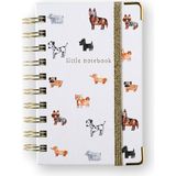 Chapters Mini Spiralli Woof Çizgili Not Defteri - Standart
