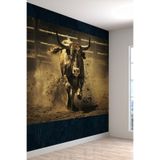 Charging Bull Güç ve Enerji Spor Salonu & Fitness Tek Parça Tekstil Poster, 100 x 100
