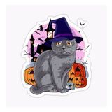 Chartreux Kedi Araba Oto Sticker Etiket Renkli V2