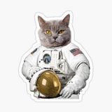 Chartreux Kedi Araba Oto Sticker Etiket Renkli V8