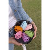 Chehra Design 6 Lı Büyük Boy Rengarenk Mandal Toka Seti