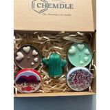 Chemdle Mum,kalpli Mum,kaktüs Mum - Renkli