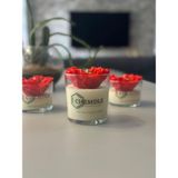 Chemdle Üçlü Set Gelincik Çiçekli Bardak Mum - Kahve Kokulu