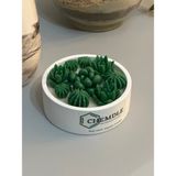 Chemdle Yasemin Kokulu Terrarium Mum