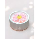 CHERIECHIC Home My Little Daisy | Konsept Dekoratif Mum | Pudra Pembe - Pudra - Pembe - Renk / Adet