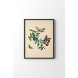 Cherries and Butterflies - Siyah Çerçeve, Siyah, 50 x 70