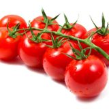 Cherry Domates Tohumu Saksılık 10 Tohum +Saksı+Toprak+ Tohu