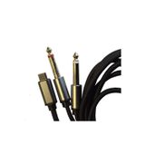 chester Type-C to 2x 6.35 mm Çivi Jak Ses Kablosu 1.5 Metre Telefon Bilgisayar Mikser Amfi Dönüştürücü Kablo