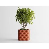 Chesterra Dekoratif Saksı - Siyah Modern Modern Bitki Saksısı 6 cm - 70x70x60mm