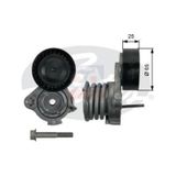 Chevrolet Captiva C100 V Kayış Gergi Kütüğü Komple, 96440419