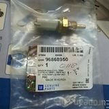Chevrolet Captiva C140 Motor Su Sıcaklık Sensörü Gm,96868950