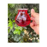 Chiara Grazia Sele Home 6Lı Keyfi Ala Borosilikat Cam Çay Bardağı 185 Ml Keyfi Ala Çay Bardağı
