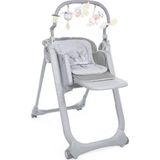 Chicco Polly Magic Relax Gri Bebek Mama Sandalyesi