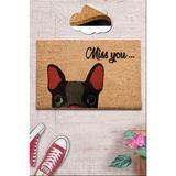Chilai Home Coco Canis Doğal Koko Paspas, Kıl Kapı Önü Paspası - 40 x 60 cm - Renkli