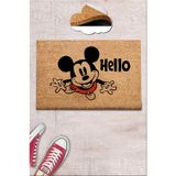 Chilai Home Coco Halones 40x60 Cm Kıl Paspas, Iç Ve Dış Kapı Paspası