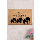 Chilai Home Coco Intore 40x60 cm Doğal Koko Kıl Paspas