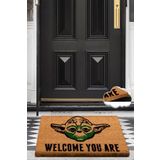 Chilai Home Coco Master 40x60 cm Renkli Paspas