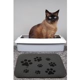 Chilai Home Trace Kedi Kumu Paspası Gri Elekli Tuvalet Önü Paspası, 40 x 60