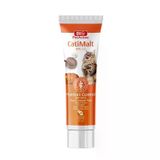 Childandpet Pet Active Cati Malt Paste Pat 25 ml Kedi Tüy Yumağı Önleyici