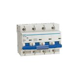 Chint 158110 DZ158 Serisi 4P 10kA C Tipi 125A Otomatik Sigorta