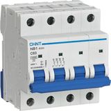 Chint 179917 Nb1 4X40A 10KA C Otomatik Sigorta
