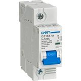 Chint DZ158 1 Kutup 10KA C/100A Otomatik Sigorta