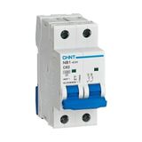 Chint Nb1 2 Kutup 10KA C/32A Otomatik Sigorta