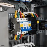 Chint Nxb 3 Kutup 6ka C/6A Otomatik Sigorta