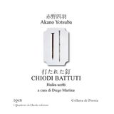 CHIODI BATTUTI: haiku scelti a cura di Diego Martina (Scritture e Visioni a cura di Stefano Donno per iQdB edizioni, Band 28)