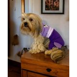 Chique Purple Duo Panda Tulum Köpek Kıyafeti L