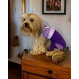Chique Purple Duo Panda Tulum Köpek Kıyafeti