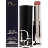 Christian Dior Dior Addict Hydrating Shine Ruj - 329 Kravat ve Dior Ruj (Doldurulabilir) Kadın 3,1 g