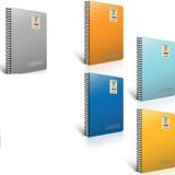 Chroma Gıpta Plastik Kapak Spiralli Defter A-4 120 Yaprak Kareli 3-1341000-2012