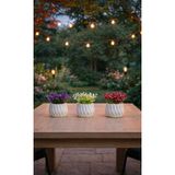 Çiçek 3 lü saksıda renkli yapay bitki seti